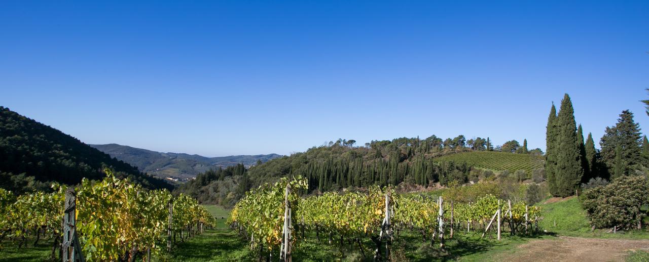 Casa Marina Apartment Greve in Chianti Bagian luar foto